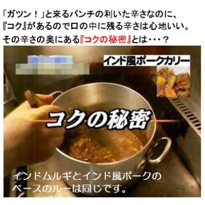 画像4: 【秋のムルギフェスティバル】インドムルギカリー（１０食入）　【送料無料】　