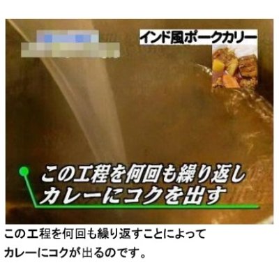 画像8: 【秋のムルギフェスティバル】インドムルギカリー（１０食入）　【送料無料】　