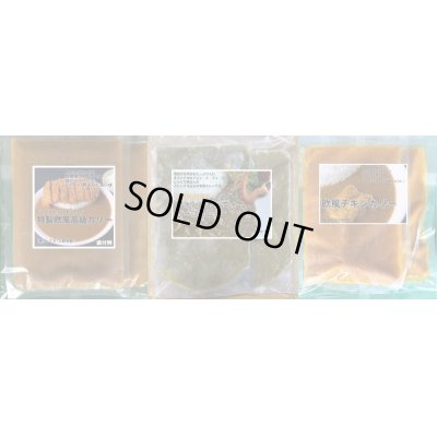 画像1: 【春季限定】欧風カリー食べ比べ６食セット（欧風カリー・欧風チキンカリー、フォンドボーカレー各２食入）