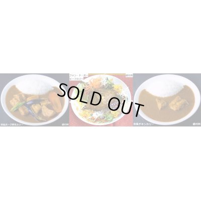 画像2: 【春季限定】欧風カリー食べ比べ６食セット（欧風カリー・欧風チキンカリー、フォンドボーカレー各２食入）