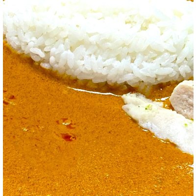 画像1: 【夏限定】レッドチリカレー（６食入）　※6/30迄特別割引価格
