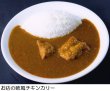 画像4: 欧風チキンカリー（２食入り） (4)