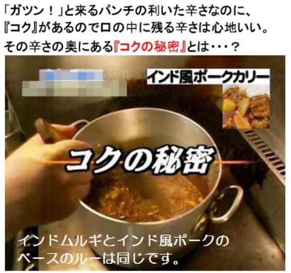 画像4: 【秋のムルギフェスティバル】インドムルギカリー（１０食入）　【送料無料】　 (4)